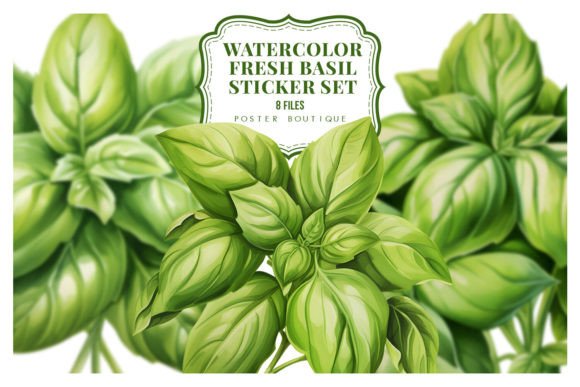 Download Watercolor Fresh Basil Clipart Set - Set Collection