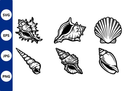 Download Shell Line Art Set - Set Collection