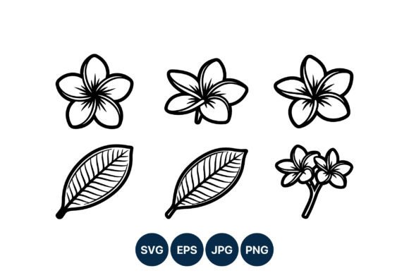 Download Plumeria Flower Line Art Vector Set - Set Collection