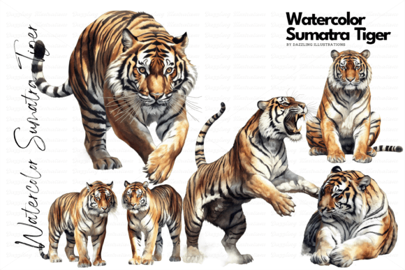 Download Endangered Watercolor Sumatra Tiger Set - Set Collection