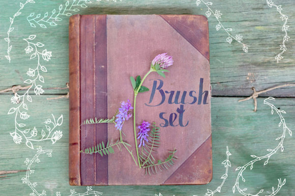 Download Set of Brushes for Adobe Illustrator - Set Collection
