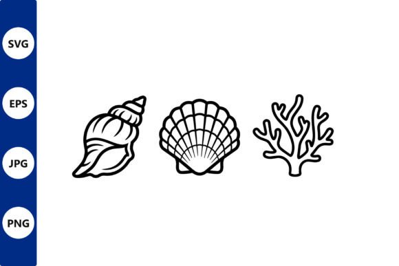 Download Shell Line Art Set Conch Scallop Coral - Set Collection