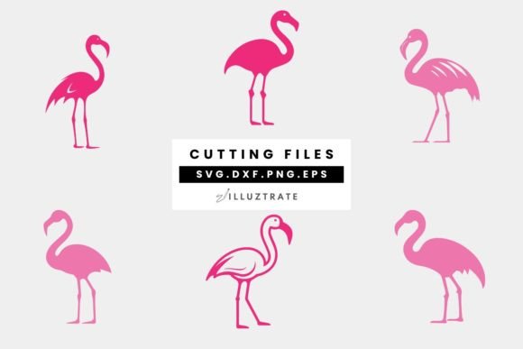 Download Flamingo SVG Cut File | Pink Cutting Fil - Flamingo svg Collection