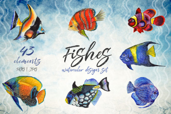 Download Sea Fishes PNG Watercolor Set - Set Collection