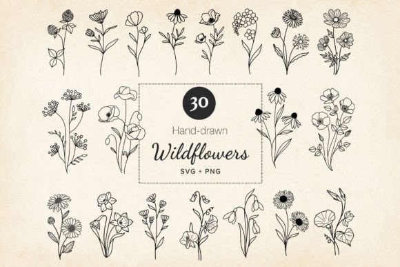 Download Minimal Wildflowers Set SVG, EPS, PNG - Set Collection