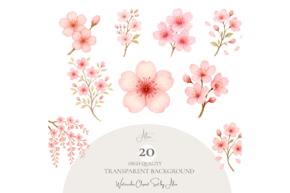Download Cherry Blossom Clipart Set PNG - Set Collection